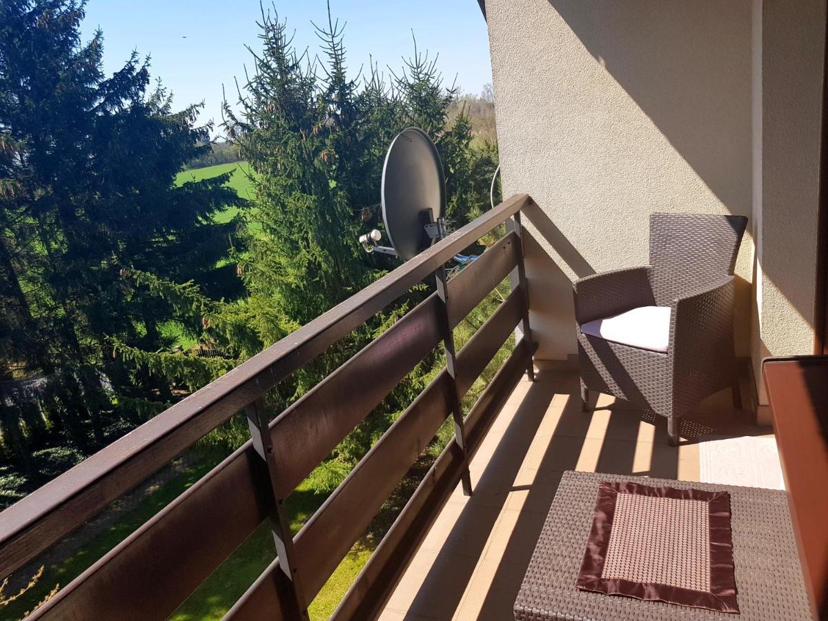 Swierkowe Zacisze Naleczow Bagian luar foto